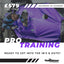 Pro Training (Exterior & Interior)